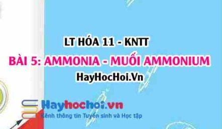 Tính chất hóa học của Ammonia NH3, muối Ammonium? Cấu tạo phân tử, tính chất vật lí Ammonia và ứng dụng? Hóa 11 bài 5 KNTT